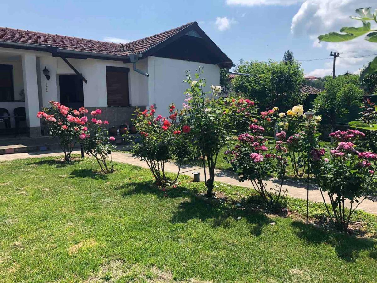 Kesta Za Gosti Apartament Za Gosti Rai S Arbanasi Do Gr Veliko Ternovo Villa Luaran gambar